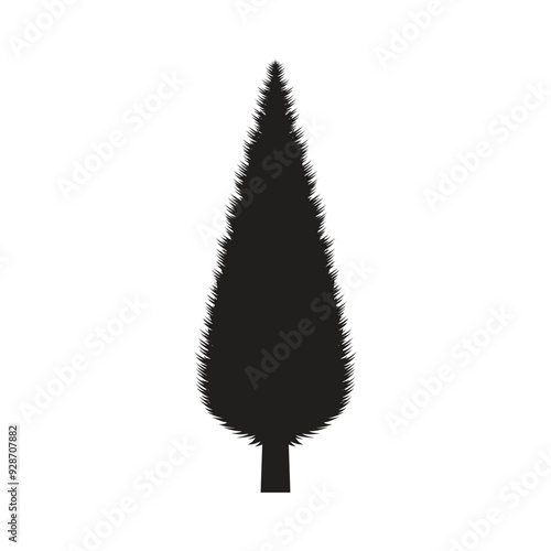 Thuja tree silhouette, conical shape, isolated, evergreen, black color, vector illustration