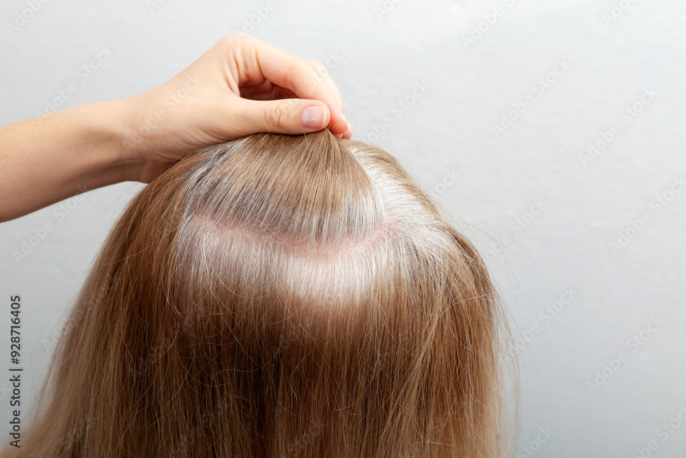 Fototapeta premium Showing grey hair roots, closeup. Going gray in young woman. Hair getting grey. Problem of early aging. Stress