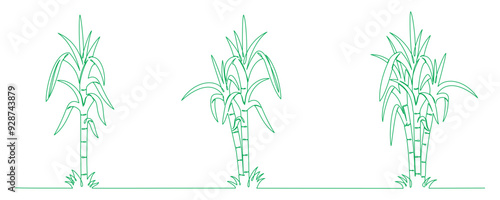 sugar cane vector