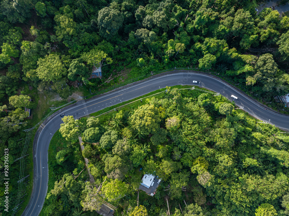 Asphalt rural road on mountain tropical rainforest green tree nature transport background Asphalt rural road on mountain tropical rainforest green tree nature transport background