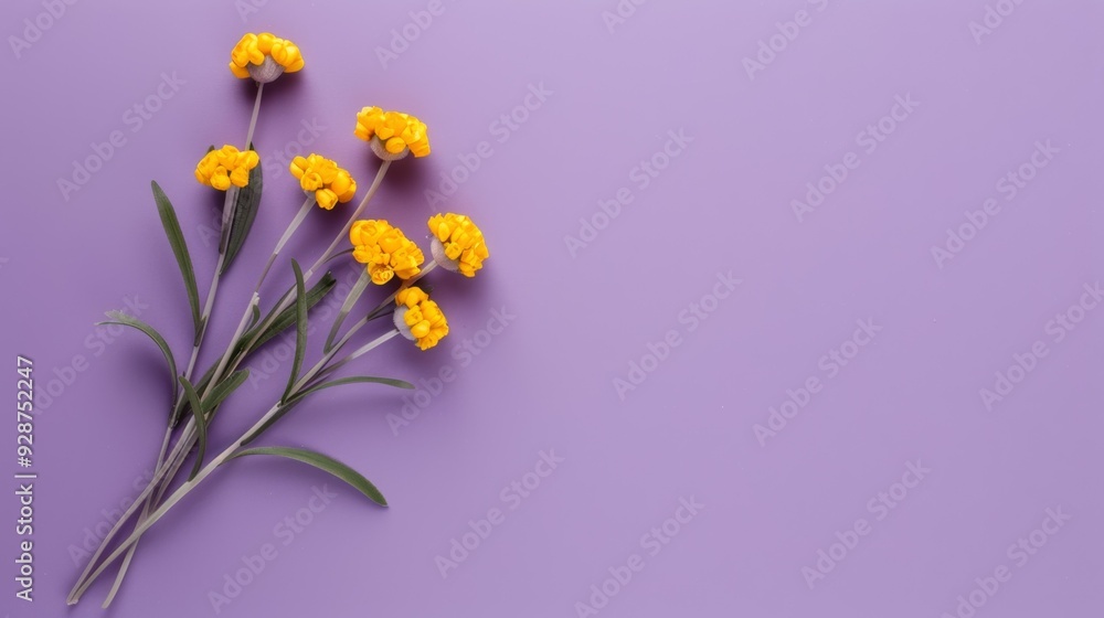 A bunch of yellow flowers are on a purple background A bunch of yellow flowers are on a purple background