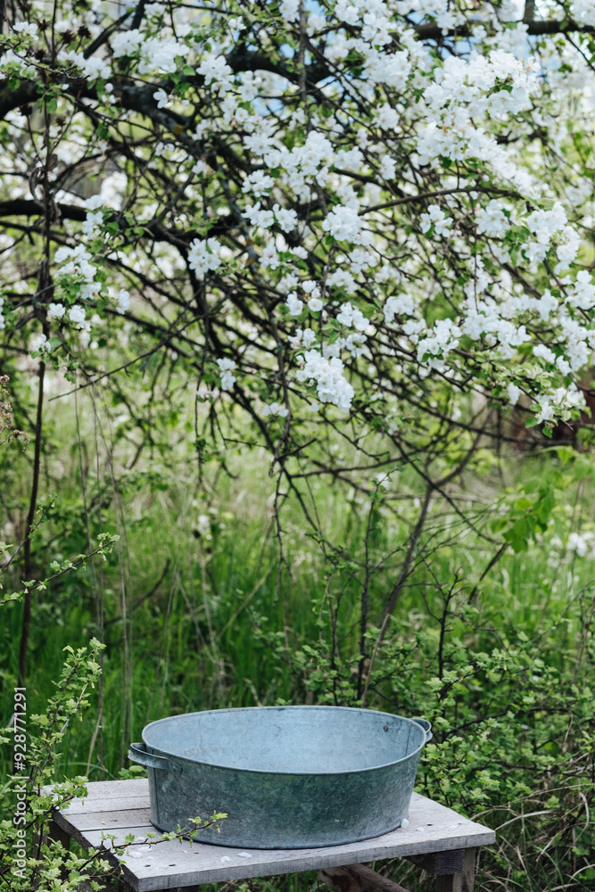 an iron bath basin stands on a table in the garden, under an apple tree an iron bath basin stands on a table in the garden, under an apple tree