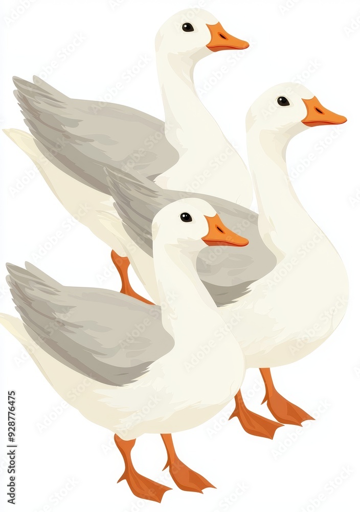 Illustration of a goose learning birds in an educational game in PNG format Illustration of a goose learning birds in an educational game in PNG format