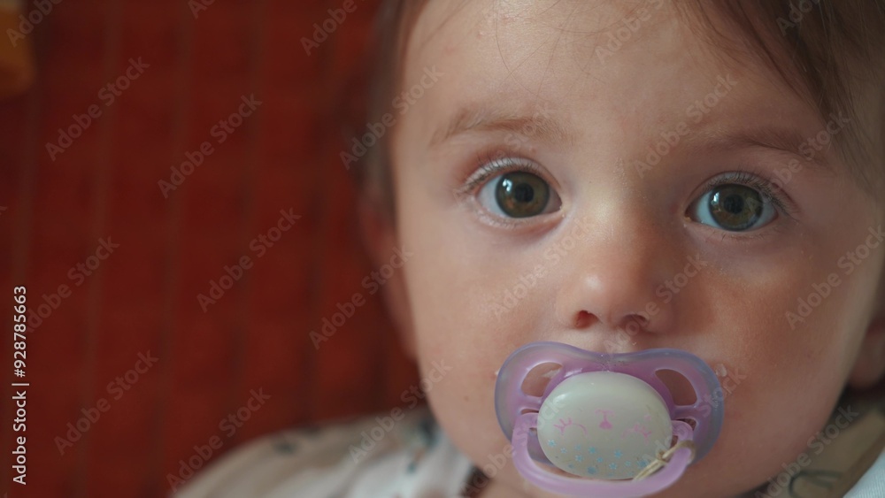 a small newborn sits on the couch with a pacifier in his mouth. happy family childhood dream concept. a little child with a purple pacifier sits and looks at the camera close-up lifestyle a small newborn sits on the couch with a pacifier in his mouth. happy family childhood dream concept. a little child with a purple pacifier sits and looks at the camera close-up lifestyle