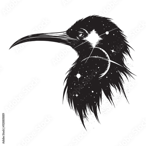 silhouette of Frigatebird filled with space and sci-fi element in rough drawing