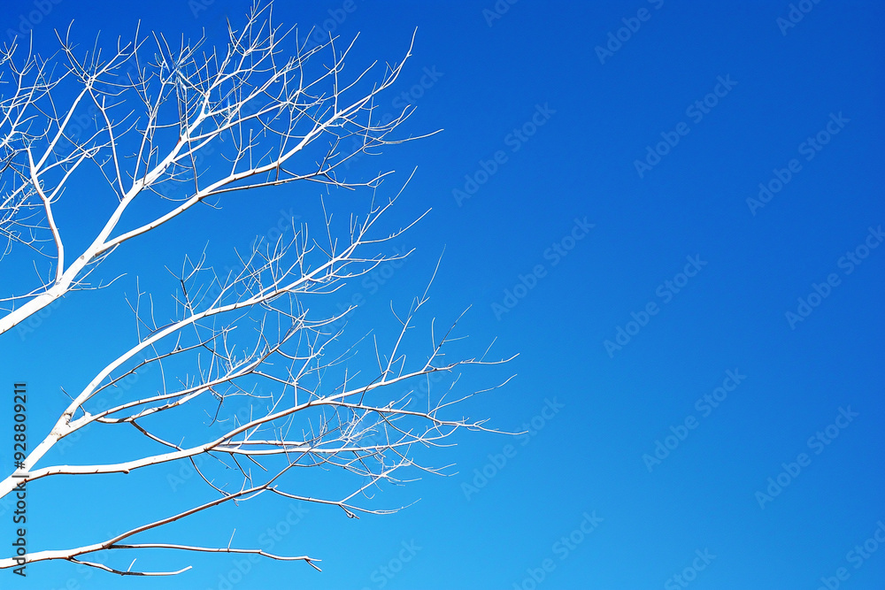 Stark white branches of a bare tree stand out against a clear, vibrant blue sky. Concept of winter, nature's resilience, minimalist beauty. Stark white branches of a bare tree stand out against a clear, vibrant blue sky. Concept of winter, nature's resilience, minimalist beauty.