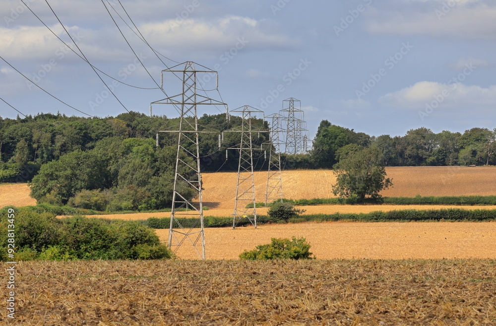 Electiricty Pylons in an English Landscape