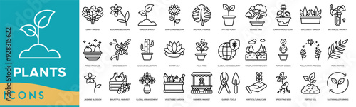Plants icon. Leafy Greens, Blooming Blossoms, Garden Sprout, Sunflower Bloom and Tropical Foliage