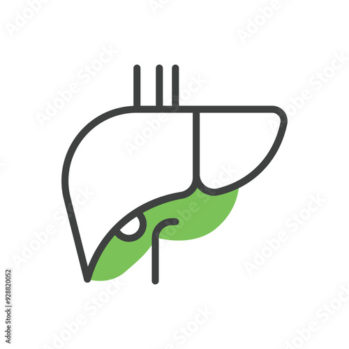 Liver vector icon