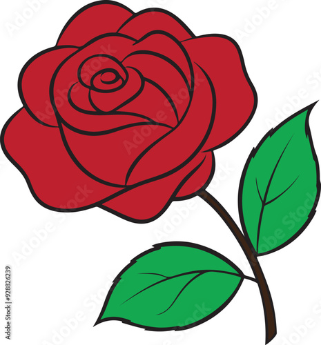 red rose hand drawn Vector cut out illustration clipart isolated on transparent background.