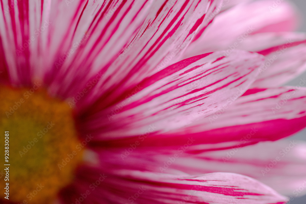 Obraz premium Flower from another planet