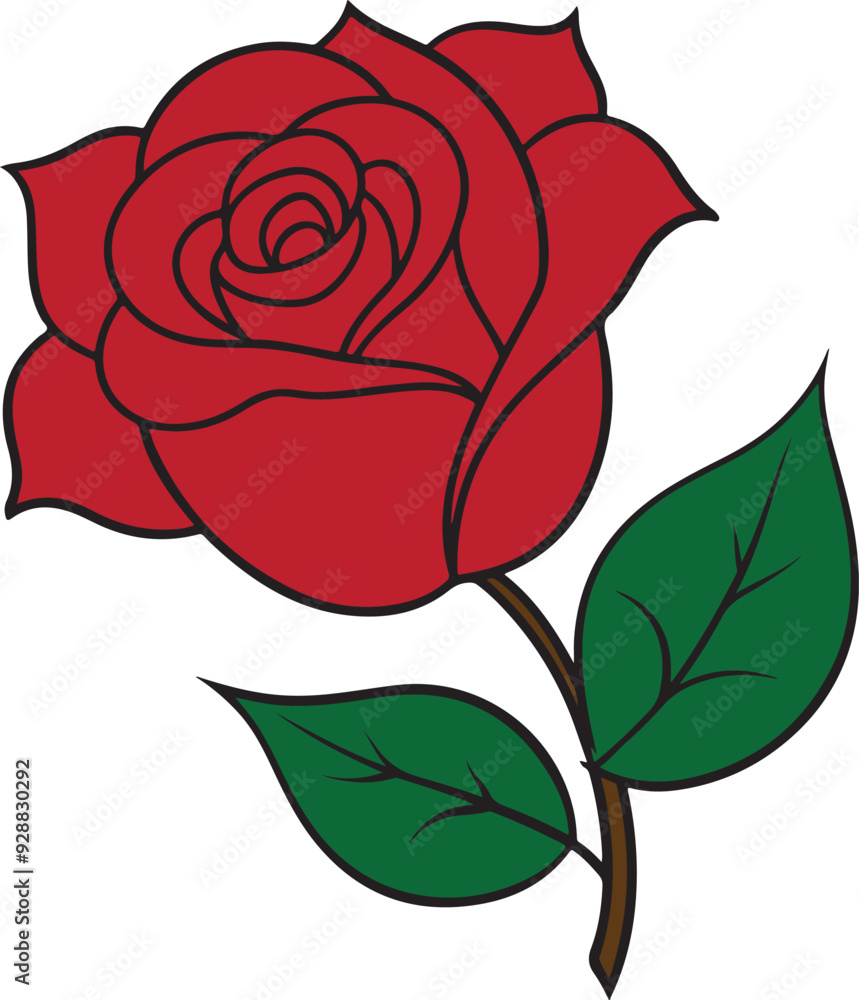red rose hand drawn Vector cut out illustration clipart isolated on transparent background. red rose hand drawn Vector cut out illustration clipart isolated on transparent background.