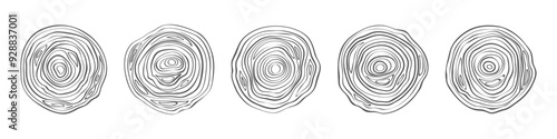 Tree trunks round sections. Circular wood rings, topographic map lines, outline texture, stumps with annual rings, top view round slice, construction logotype design, tidy vector isolated set