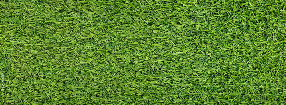 Green artificial grass as background, banner design Green artificial grass as background, banner design