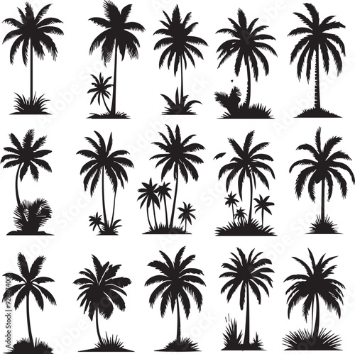 set of palm trees vector illustration