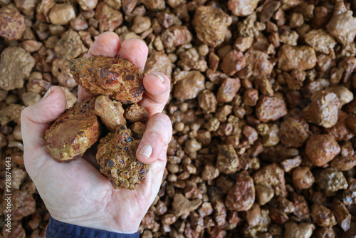 Tableau sur toile Partially closed hand holding bauxite ore