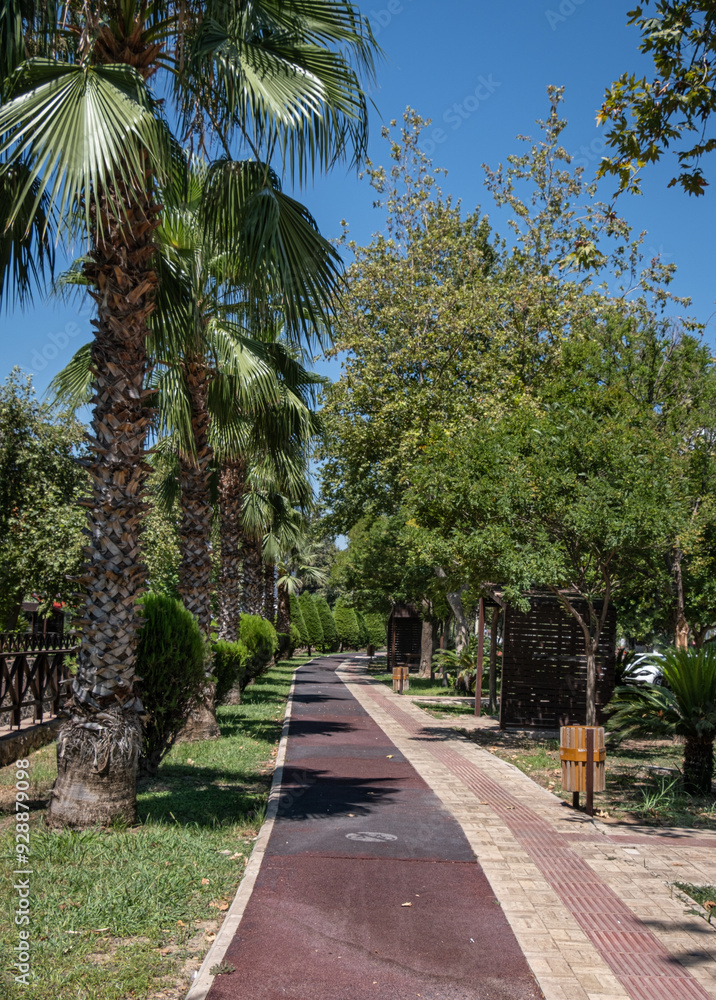 Walking path among trees in the city park Walking path among trees in the city park