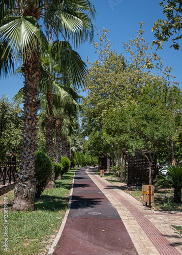 Walking path among trees in the city park