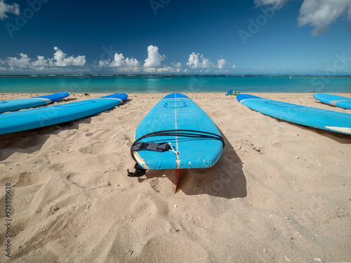 Принти на полотні A sunny say at the ala moana beach and spotting a view surf boards