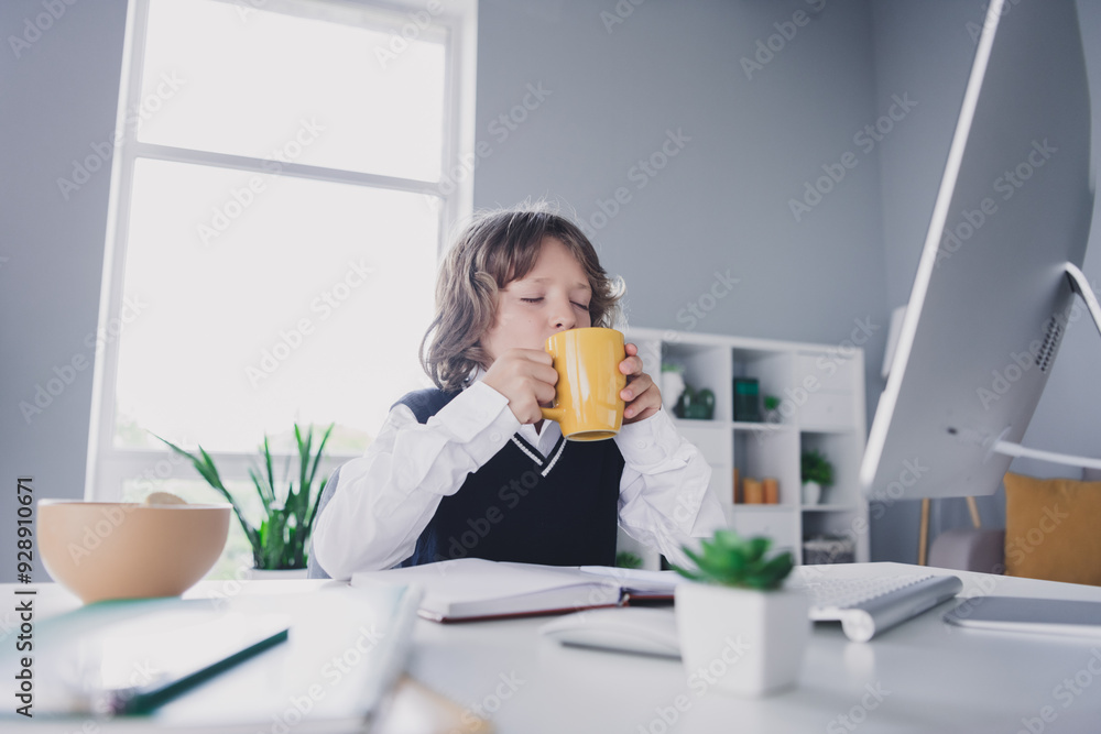 Portrait of adorable charming boy schoolkid sit chair desktop enjoy drink tea distance education from home indoors Portrait of adorable charming boy schoolkid sit chair desktop enjoy drink tea distance education from home indoors