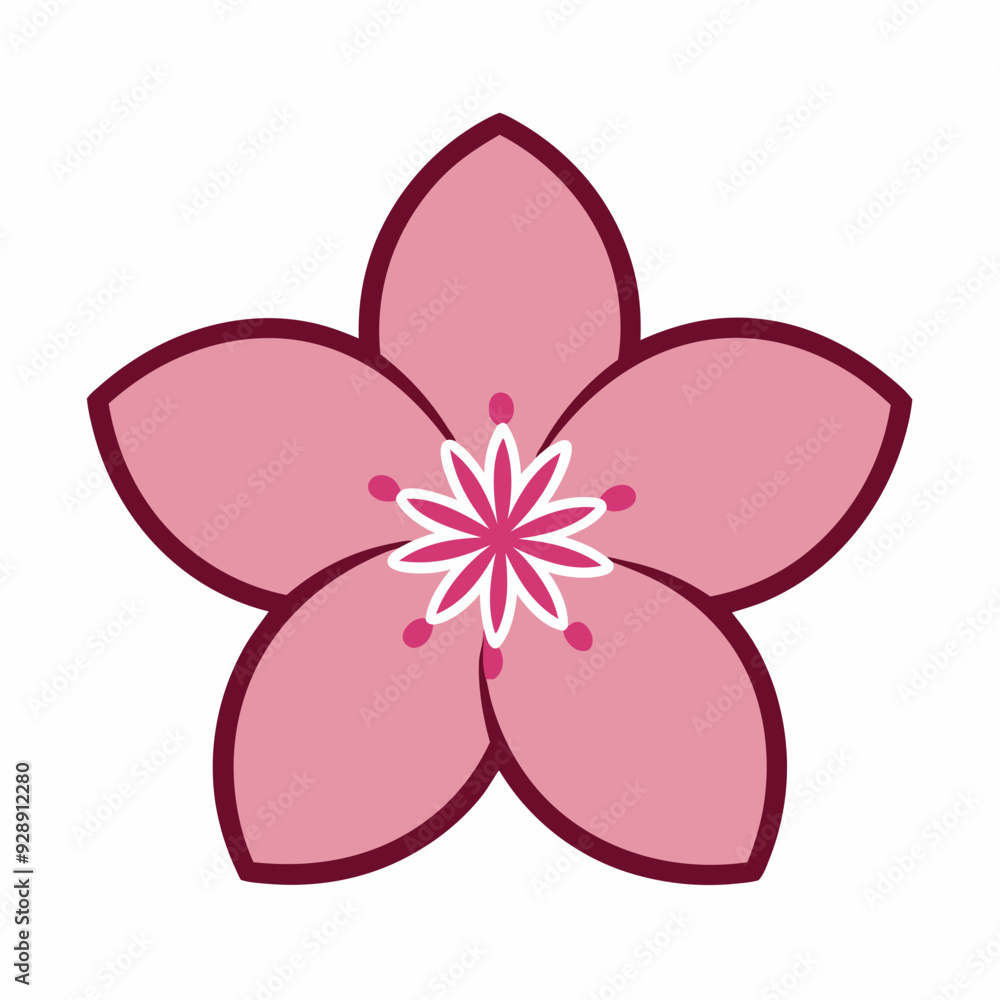 A single pink five petaled sakura flower A single pink five petaled sakura flower