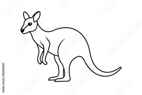 kangaroo line art vector illustration