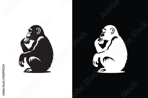 Chimpanzee chimp vector on white background. photo