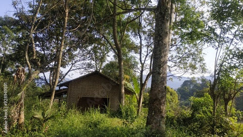 A rustic cabin nestled among tall trees and dense vegetation in a serene forest setting. The natural environment exudes tranquility, making it ideal for nature lovers and outdoor enthusiasts.