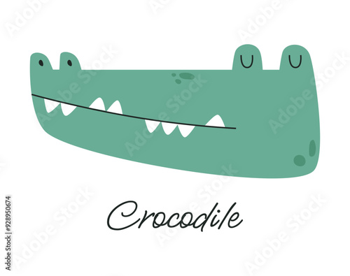 Cute African crocodile vector illustration. Crocodile head drawn in cartoon style. Children's print.