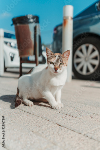 Rethymno Travel Teal+Orange