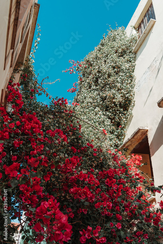 Rethymno Travel Teal+Orange