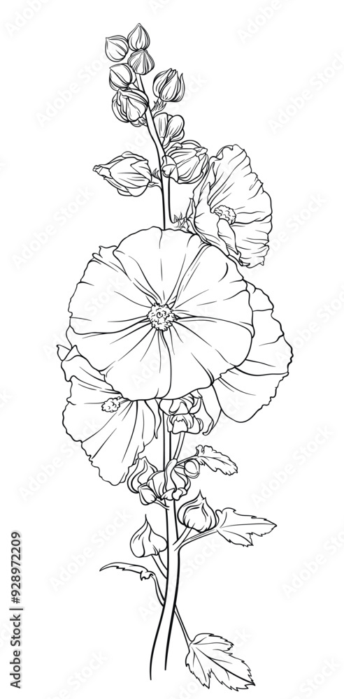Fototapeta premium Detailed and colorful illustration of a lush green mallow branch with many leaves and bright inflorescences. Elegant image of hollyhock flowers