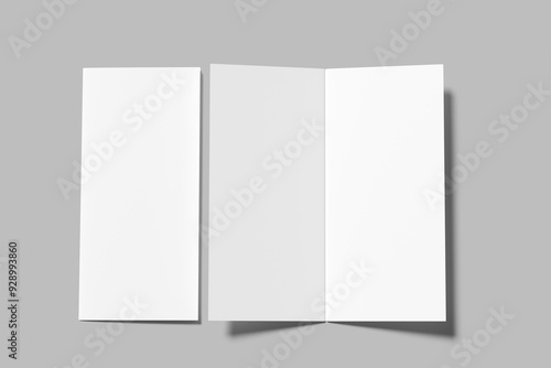 dl bifold brochure blank mockup
