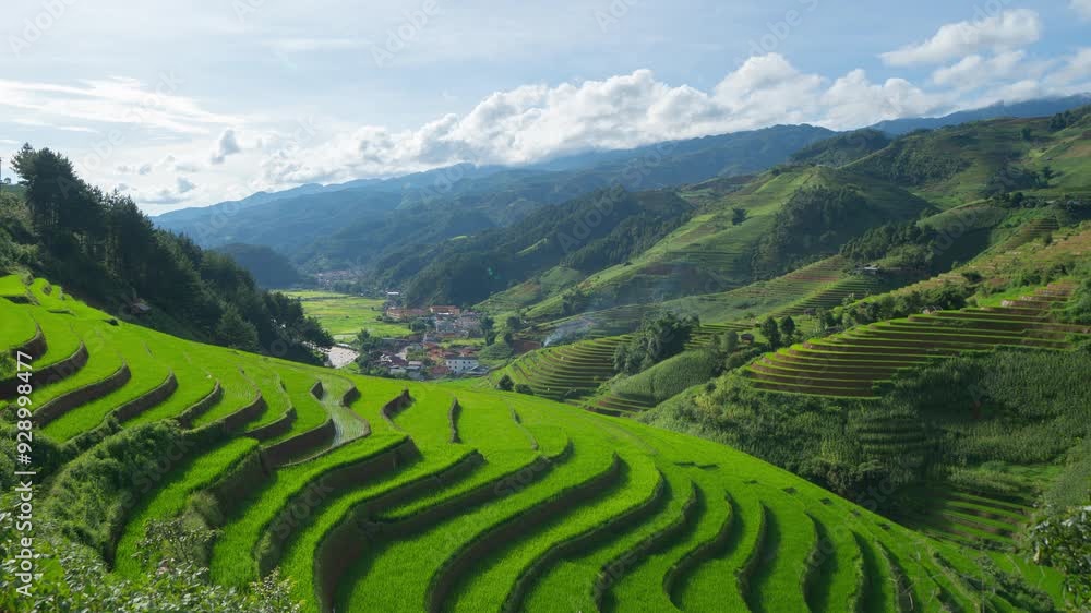 Time lapse of aerial top view of fresh paddy rice terraces, green agricultural fields in countryside or rural area of Mu Cang Chai, mountain hills valley in Asia, Vietnam. Nature landscape background. Time lapse of aerial top view of fresh paddy rice terraces, green agricultural fields in countryside or rural area of Mu Cang Chai, mountain hills valley in Asia, Vietnam. Nature landscape background.