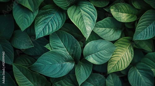 Wallpaper Mural Lush Green Leaves Texture  Torontodigital.ca