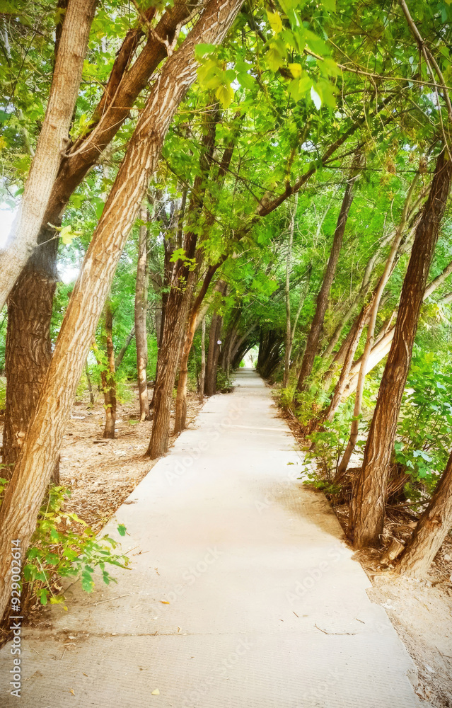 A Serene Pathway That Is Beautifully Surrounded by Lush Greenery and Natures Vibes A Serene Pathway That Is Beautifully Surrounded by Lush Greenery and Natures Vibes