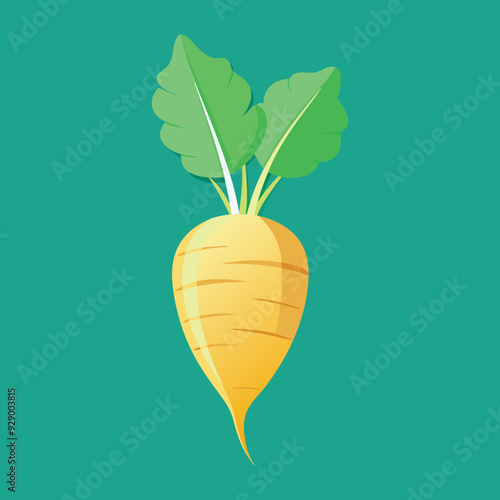 illustration of a parsnip, radish, kohlrabi vegetable