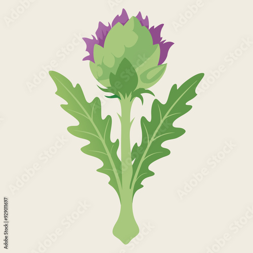 illustration of fresh green cardoon flower, artichoke vegetables 