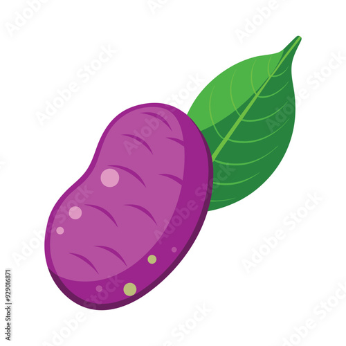 illustration of an testy purple fruit with leaf isolated on white background