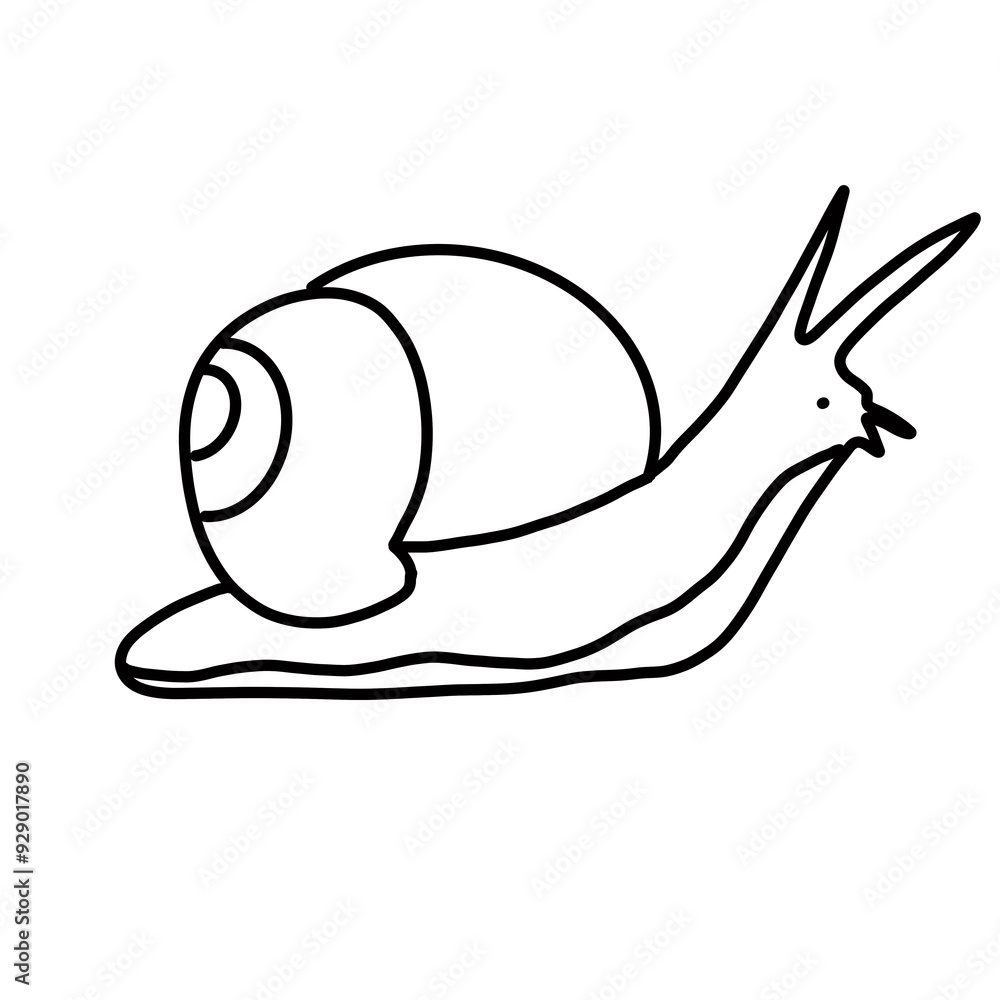 mollusk animal specie natural soil parasite snail
