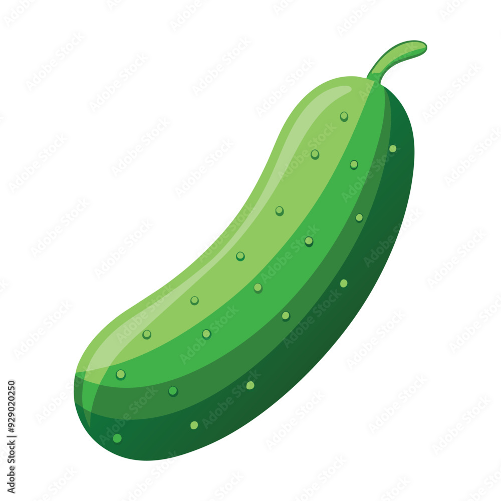 cucumber isolated on white cucumber isolated on white