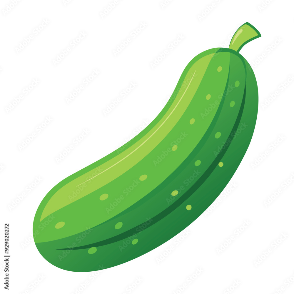 green fresh cucumber isolated on white background green fresh cucumber isolated on white background