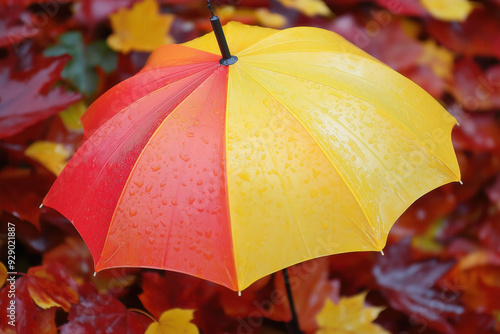 Autumn Umbrella