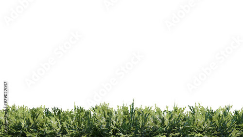 vegetation nature plant green natural environment foliage background 3d render.