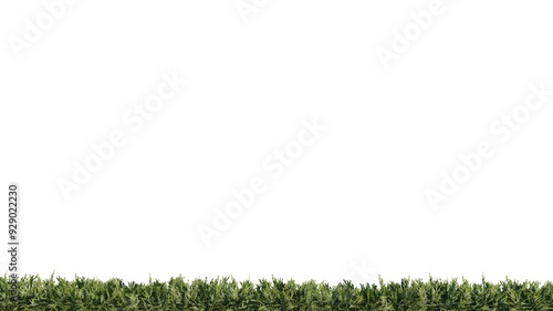 vegetation nature plant green natural environment foliage background 3d render.