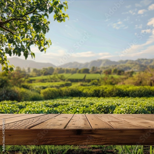 Wooden podium nestled in green fields and gardens, capturing the serene morning farm setting