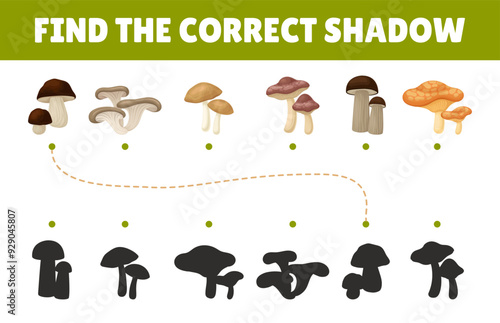Mushroom Flashcard with Forest Plant with Stem and Cap Vector Template