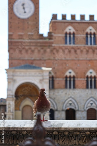 toscana, siena, italy, italia, paesaggi, tuscany, storia, architettura
