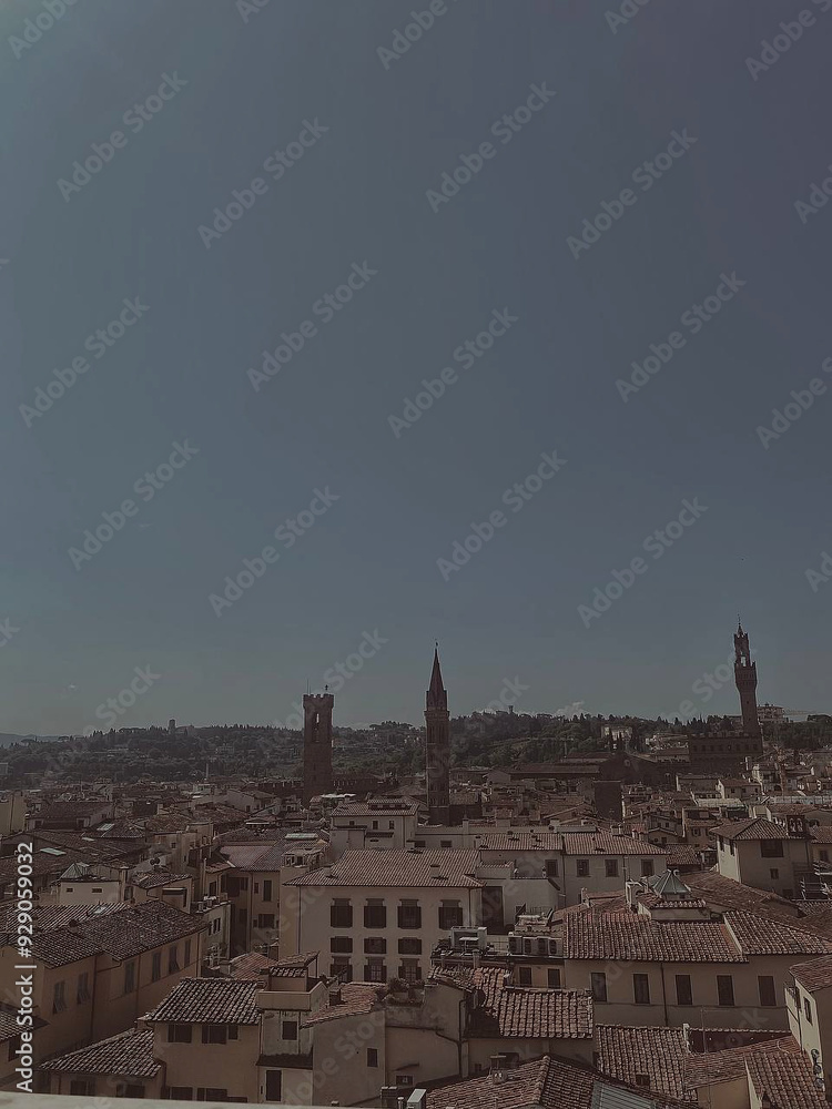 Fototapeta premium firenze 