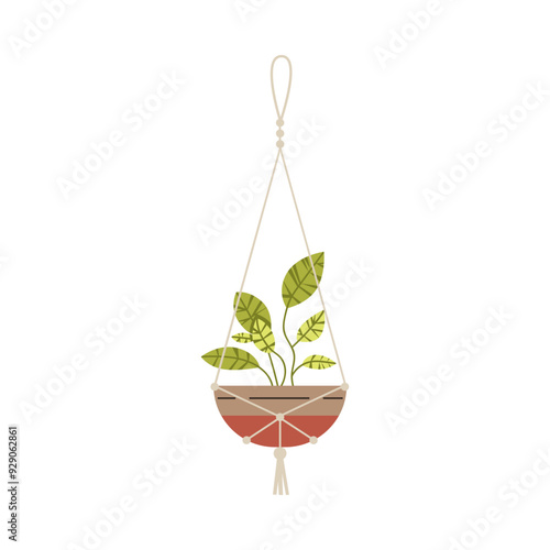 Flat vector illustration of a hanging potted plant using macrame.